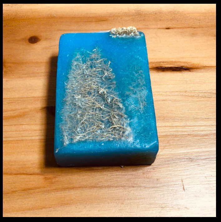 Handcrafted Soaps by SynEb Embedded Organic Exfoliating Bar with visible loofah fruit — side angle on natural wood surface